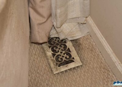 Carpet Cleaning